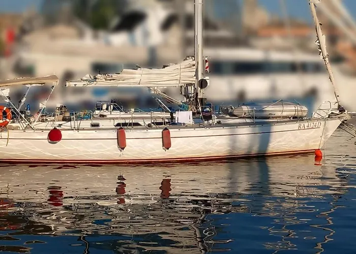 Sailing Delfina