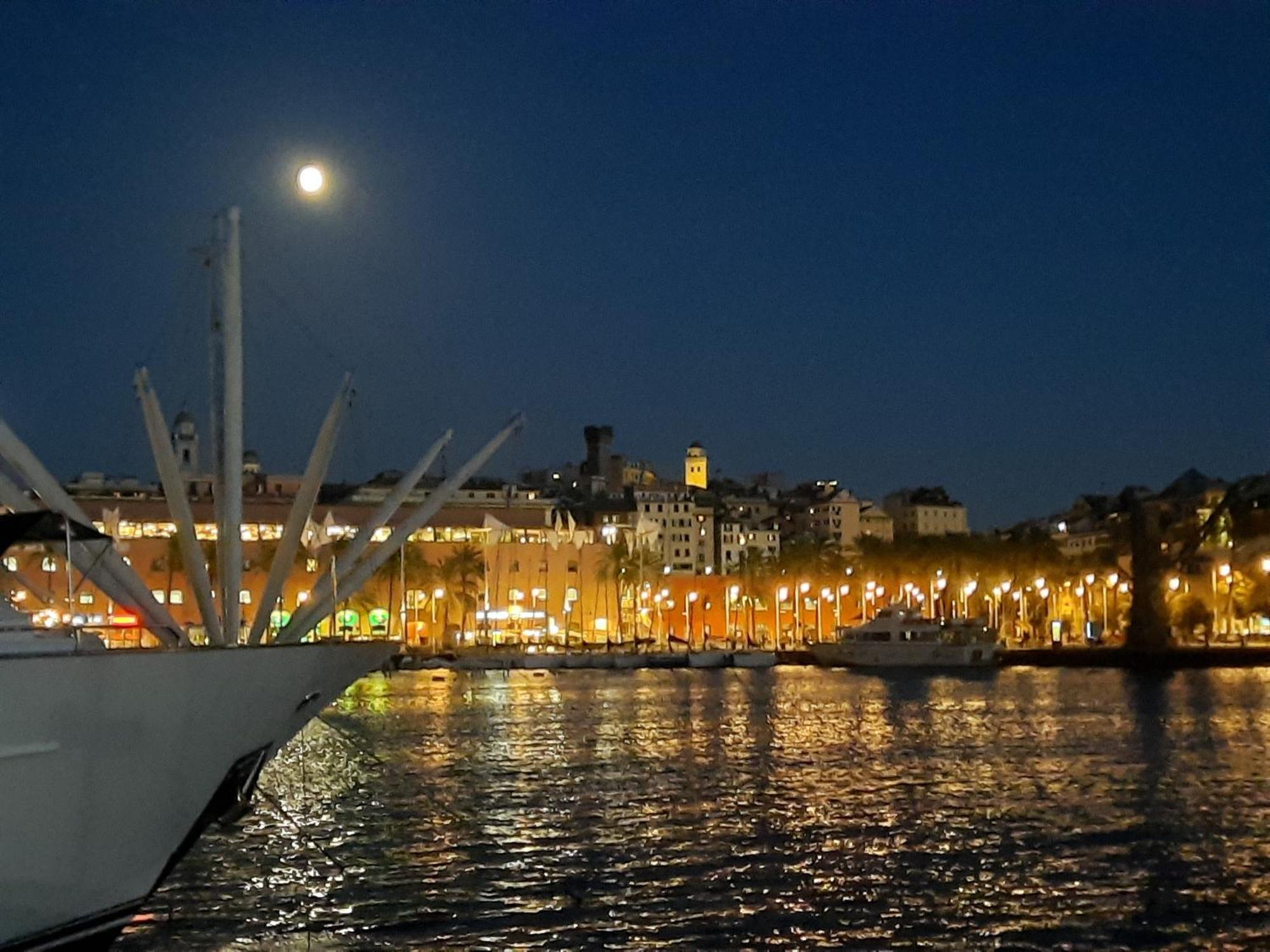 Sailing Delfina * Genoa